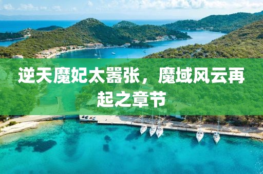 逆天魔妃太囂張，魔域風(fēng)云再起之章節(jié)