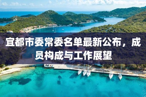 宜都市委常委名單最新公布，成員構(gòu)成與工作展望