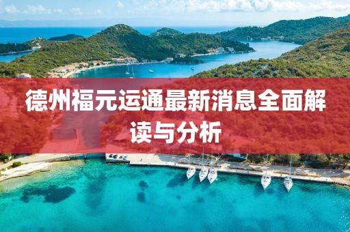 德州福元運通最新消息全面解讀與分析