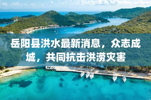 岳陽縣洪水最新消息，眾志成城，共同抗擊洪澇災害