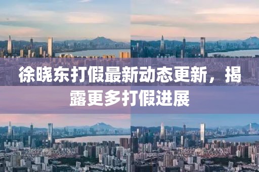 徐曉東打假最新動(dòng)態(tài)更新，揭露更多打假進(jìn)展