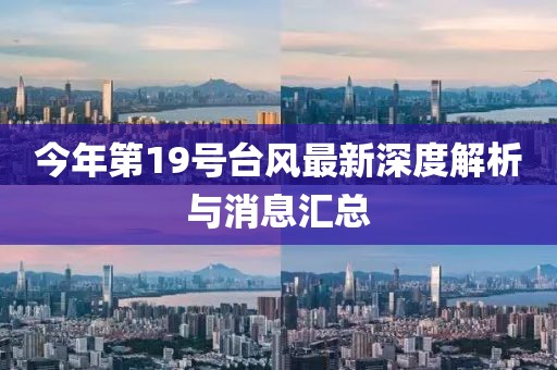今年第19號臺風(fēng)最新深度解析與消息匯總
