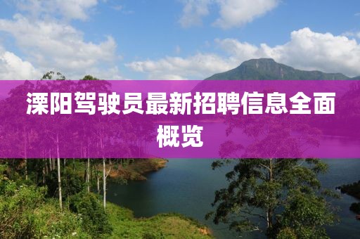溧陽(yáng)駕駛員最新招聘信息全面概覽