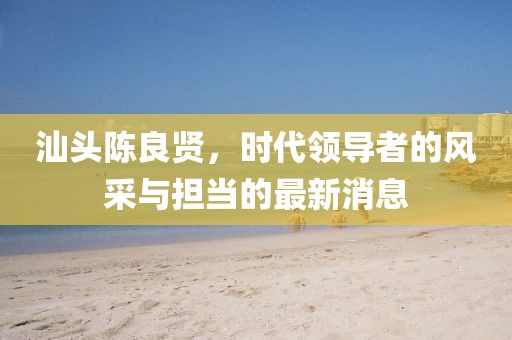 汕頭陳良賢，時代領導者的風采與擔當?shù)淖钚孪? width=