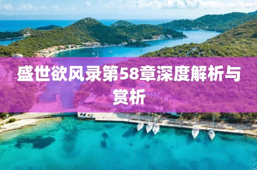 盛世欲風錄第58章深度解析與賞析
