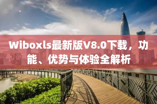 Wiboxls最新版V8.0下載，功能、優(yōu)勢與體驗全解析