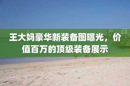 王大媽豪華新裝備圖曝光，價(jià)值百萬的頂級(jí)裝備展示