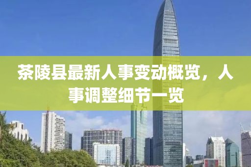 茶陵縣最新人事變動(dòng)概覽，人事調(diào)整細(xì)節(jié)一覽