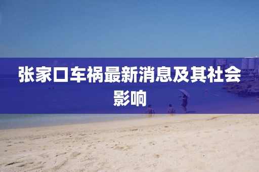 張家口車(chē)禍最新消息及其社會(huì)影響