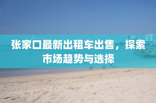 張家口最新出租車出售，探索市場(chǎng)趨勢(shì)與選擇