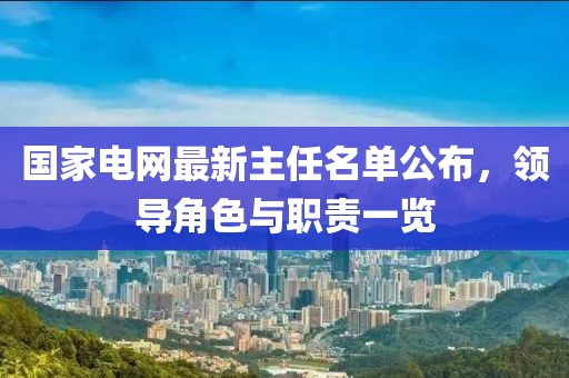 國(guó)家電網(wǎng)最新主任名單公布，領(lǐng)導(dǎo)角色與職責(zé)一覽