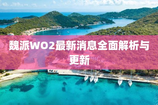 魏派WO2最新消息全面解析與更新
