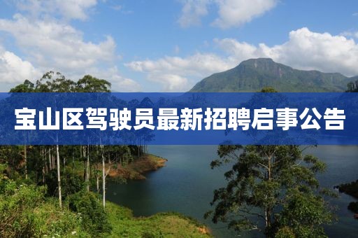 寶山區(qū)駕駛員最新招聘啟事公告