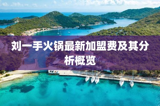 劉一手火鍋?zhàn)钚录用速M(fèi)及其分析概覽