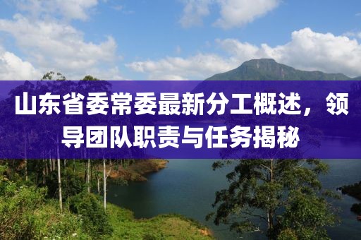 山東省委常委最新分工概述，領導團隊職責與任務揭秘