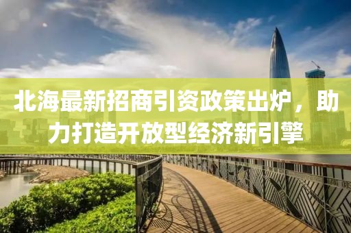 北海最新招商引資政策出爐，助力打造開放型經(jīng)濟(jì)新引擎