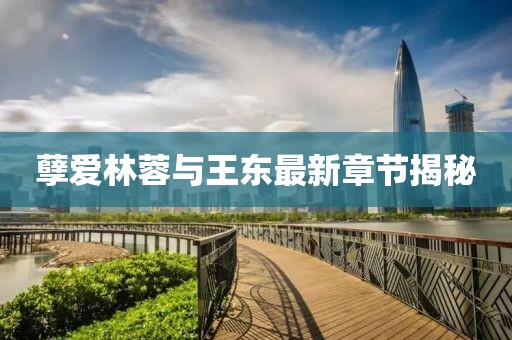 孽愛林蓉與王東最新章節(jié)揭秘