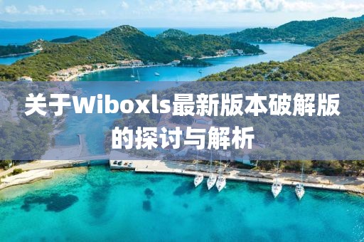 關(guān)于Wiboxls最新版本破解版的探討與解析