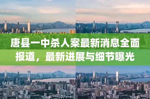 唐縣一中殺人案最新消息全面報(bào)道，最新進(jìn)展與細(xì)節(jié)曝光