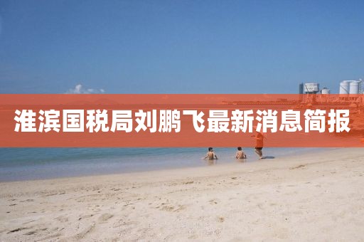 淮濱國稅局劉鵬飛最新消息簡報