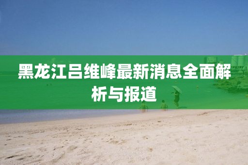 黑龍江呂維峰最新消息全面解析與報道