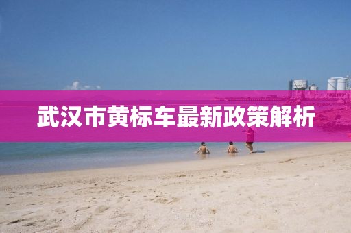 武漢市黃標(biāo)車最新政策解析