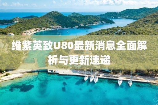 維紫英致U80最新消息全面解析與更新速遞