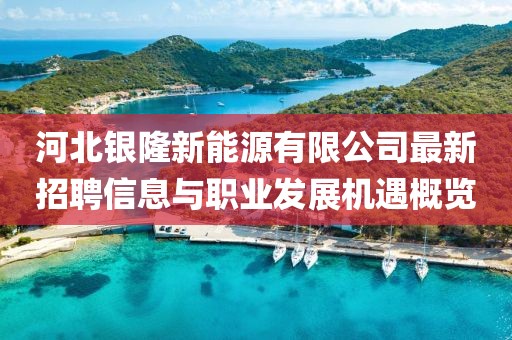 河北銀隆新能源有限公司最新招聘信息與職業(yè)發(fā)展機(jī)遇概覽