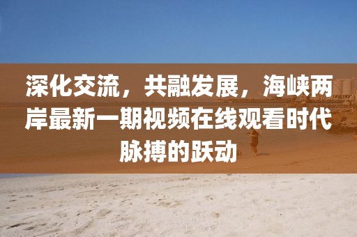 深化交流，共融發(fā)展，海峽兩岸最新一期視頻在線觀看時(shí)代脈搏的躍動(dòng)