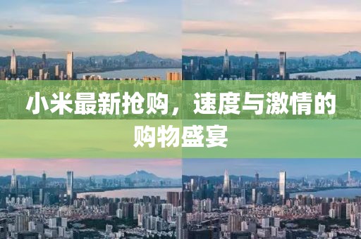 小米最新?lián)屬?，速度與激情的購物盛宴