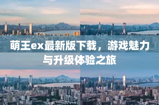 萌王ex最新版下載，游戲魅力與升級(jí)體驗(yàn)之旅