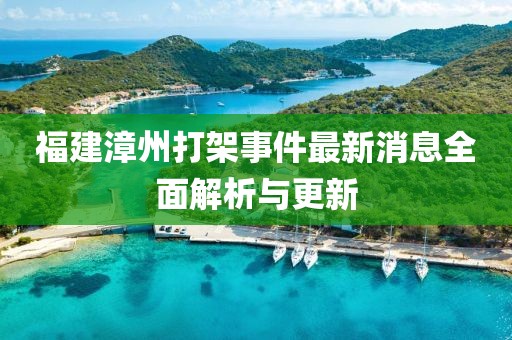 福建漳州打架事件最新消息全面解析與更新