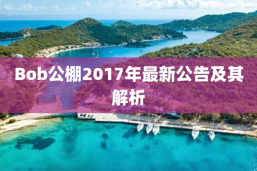 Bob公棚2017年最新公告及其解析