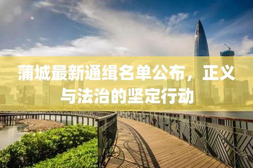 蒲城最新通緝名單公布，正義與法治的堅(jiān)定行動(dòng)
