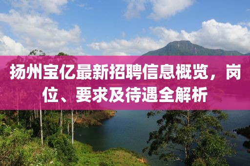 揚(yáng)州寶億最新招聘信息概覽，崗位、要求及待遇全解析