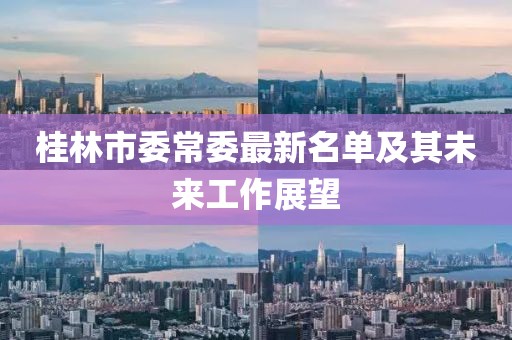 桂林市委常委最新名單及其未來(lái)工作展望