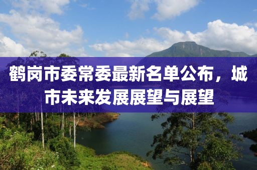 鶴崗市委常委最新名單公布，城市未來發(fā)展展望與展望