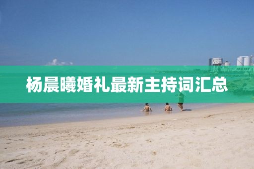 楊晨曦婚禮最新主持詞匯總