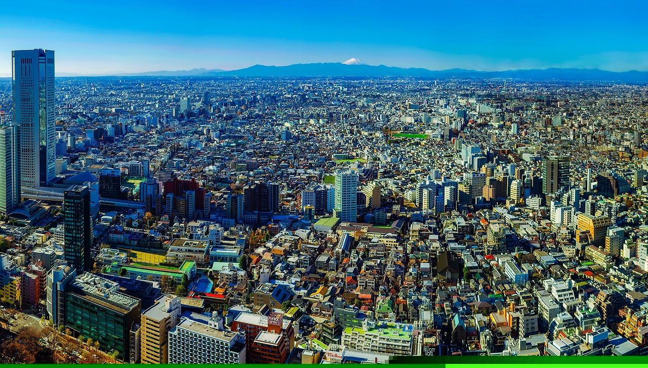 洋豐嘉園最新消息全面解析與更新