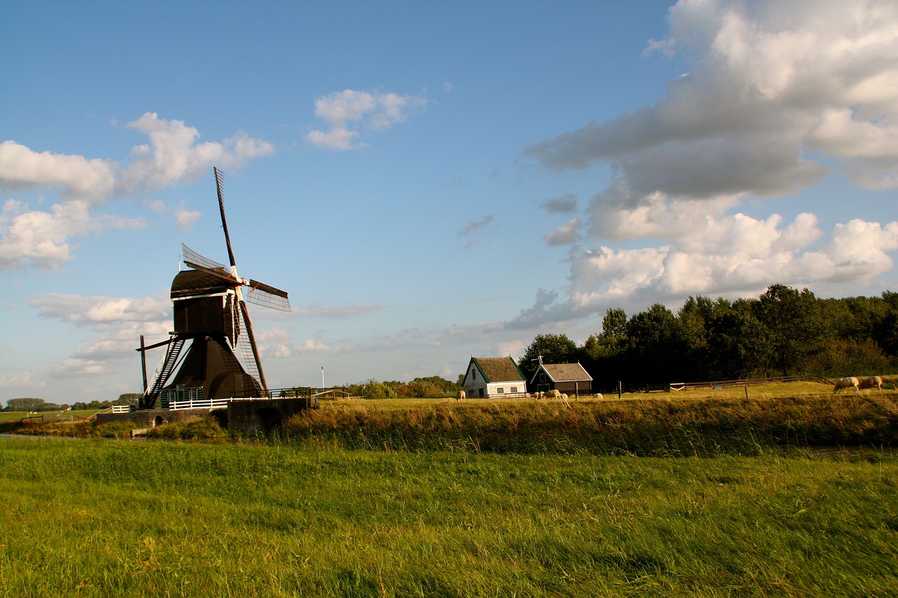 蕪湖古城改造最新動態(tài)，重塑歷史風(fēng)貌，煥發(fā)新城活力