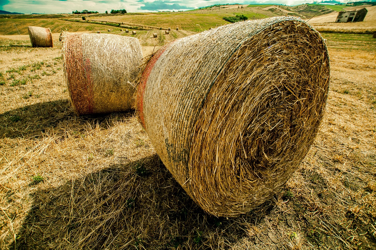 開心的時(shí)刻 第27頁