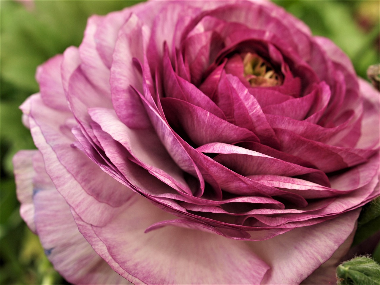 東和環(huán)保引領(lǐng)綠色發(fā)展，先鋒力量展現(xiàn)最新環(huán)保動(dòng)態(tài)