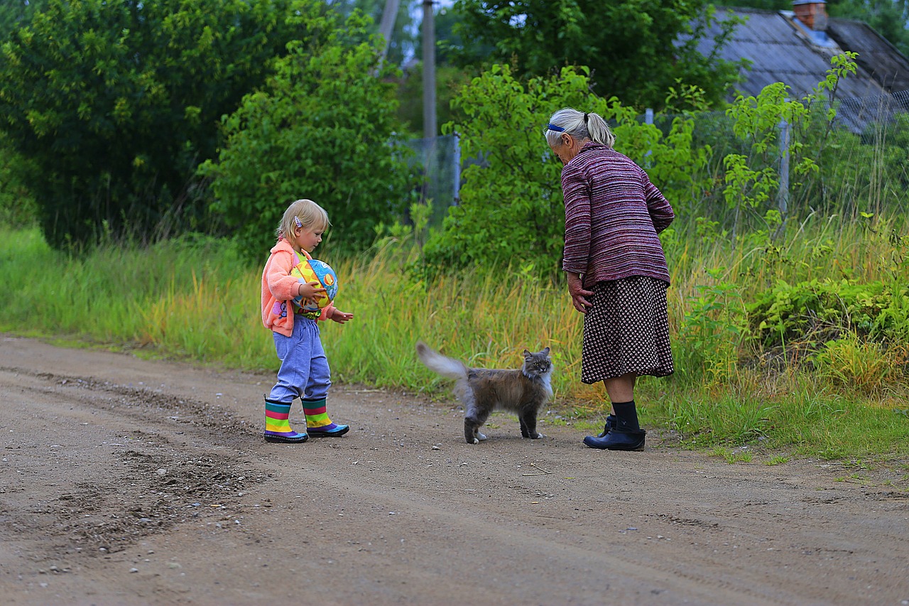 最新農(nóng)村愛(ài)情電視劇，鄉(xiāng)村生活的浪漫與真實(shí)之旅