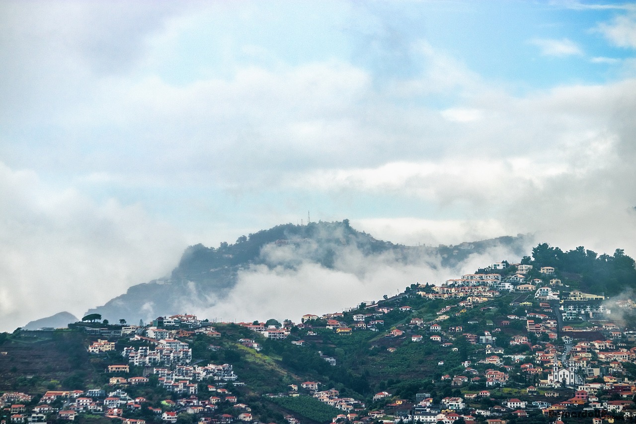 濟(jì)南新聞網(wǎng)最新新聞，城市動(dòng)態(tài)與經(jīng)濟(jì)脈搏的交融報(bào)道