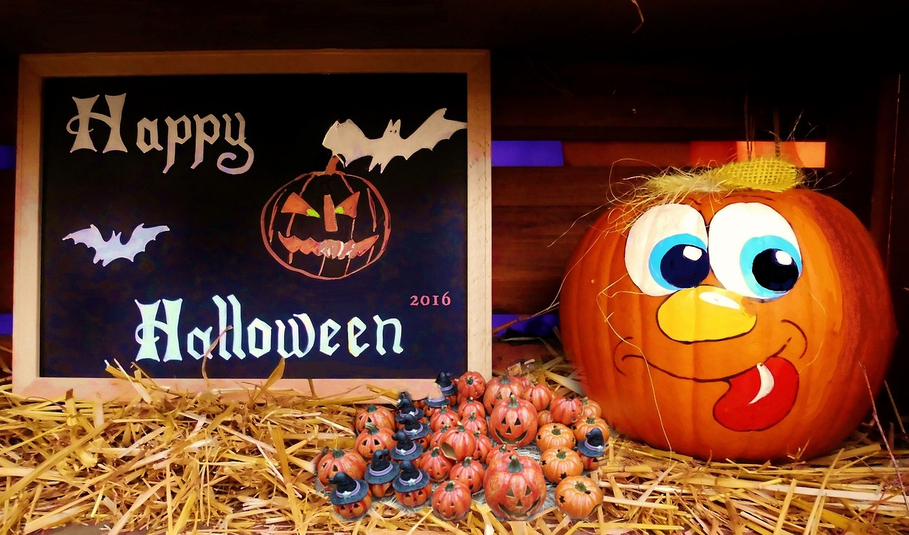 凱里張淼最新動(dòng)態(tài)揭秘，探尋神秘面紗下的最新消息