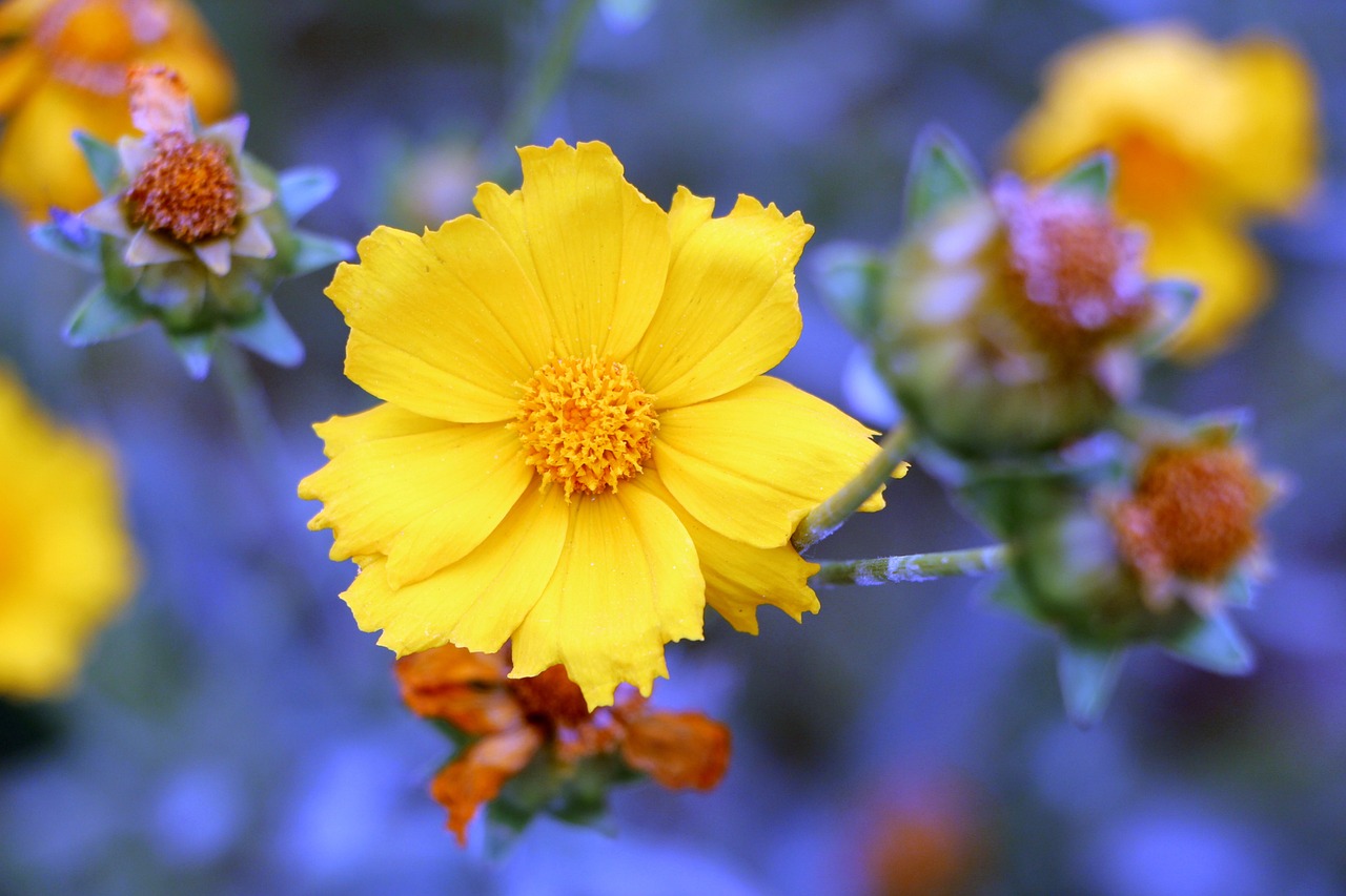 范冰冰最新動態(tài)，閃耀全球的巨星風(fēng)采依舊