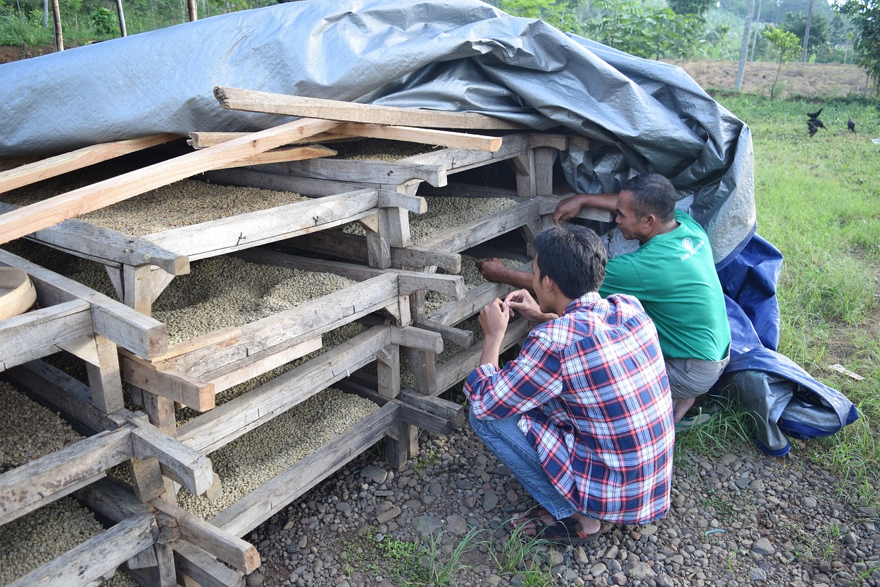 溧水土拍最新動(dòng)態(tài)，市場(chǎng)動(dòng)向及未來(lái)發(fā)展展望