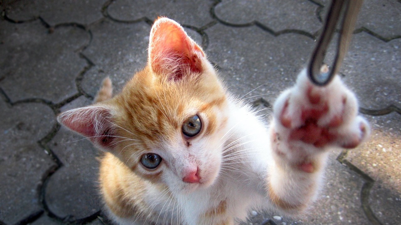 山大搬遷最新動態(tài)，邁向新征程，開啟新篇章