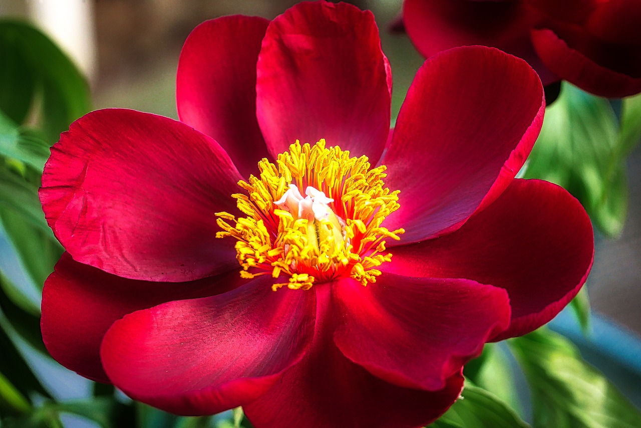 退休交醫(yī)保政策最新動(dòng)態(tài)，調(diào)整、展望與未來趨勢