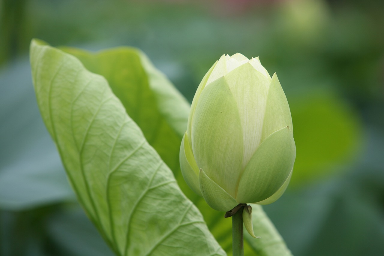 大地傳媒重組最新動態(tài)，重塑傳媒產(chǎn)業(yè)格局取得重大進展